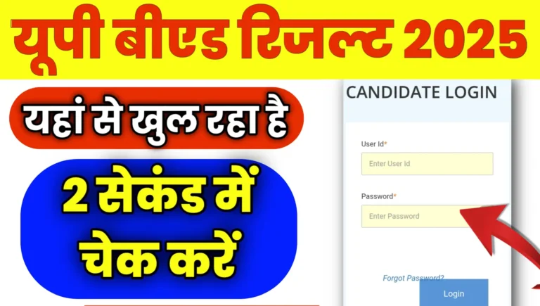 UP Bed Result Online Live Check